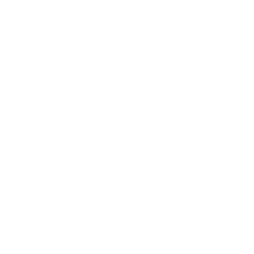 AU Flag
