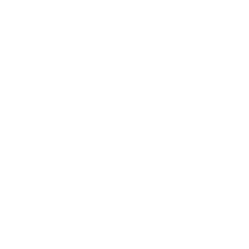 NZ Flag