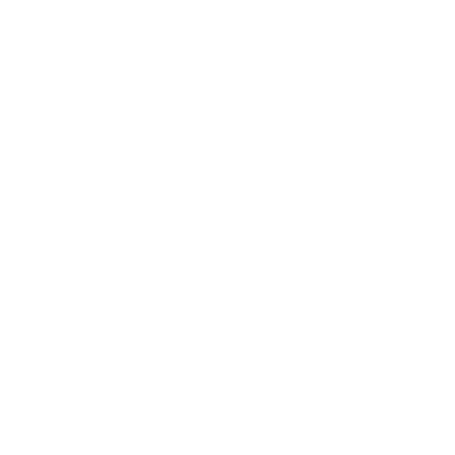 US Flag